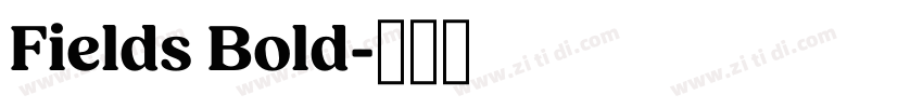 Fields Bold字体转换